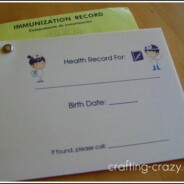 Health Record (Freebie!)