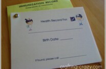 Health Record (Freebie!)