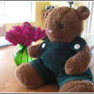 Project Runway…for Stuffed Animals?
