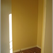 Operation Organization:  Front Hall Closet, part 1