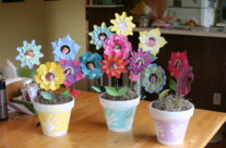 Mother’s Day Project & San Diego MNO!