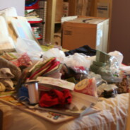 Nobody’s Perfect:  The Craft Room
