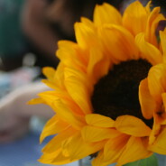 Nobody’s Perfect:  Blogging!